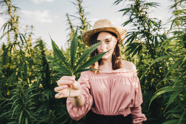img/cannabisstocksnews.jpg