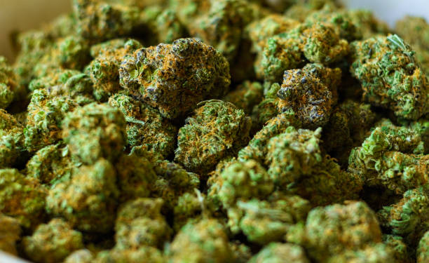 What is the role of technology in shaping cannabis business strategies?